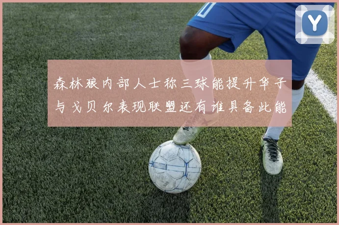 森林狼内部人士称三球能提升华子与戈贝尔表现联盟还有谁具备此能力