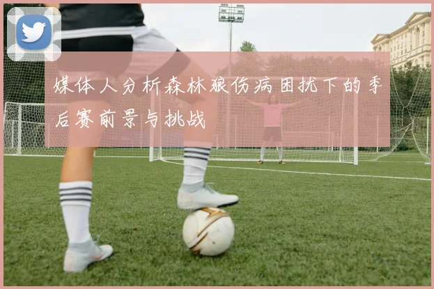 媒体人分析森林狼伤病困扰下的季后赛前景与挑战